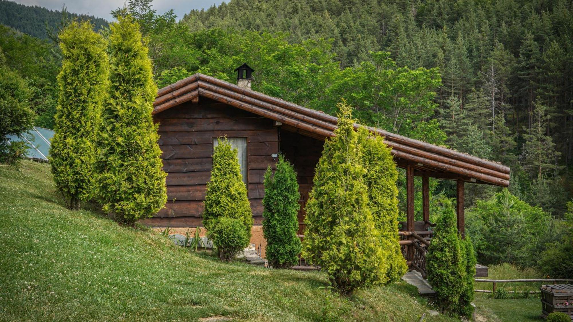Панорама Хаус Лещен И Еко Къщи Дървена И Землянка Ngoại thất bức ảnh