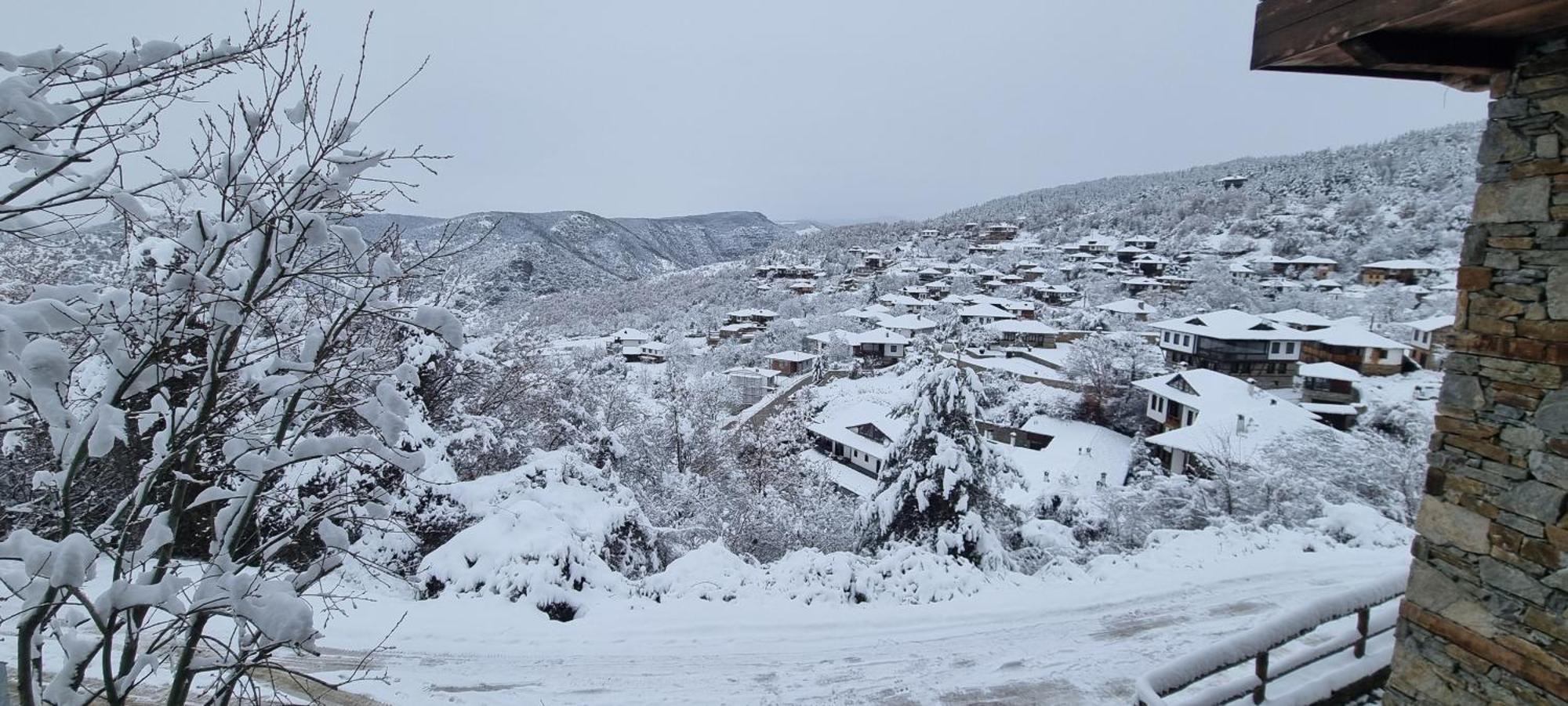 Панорама Хаус Лещен И Еко Къщи Дървена И Землянка Ngoại thất bức ảnh