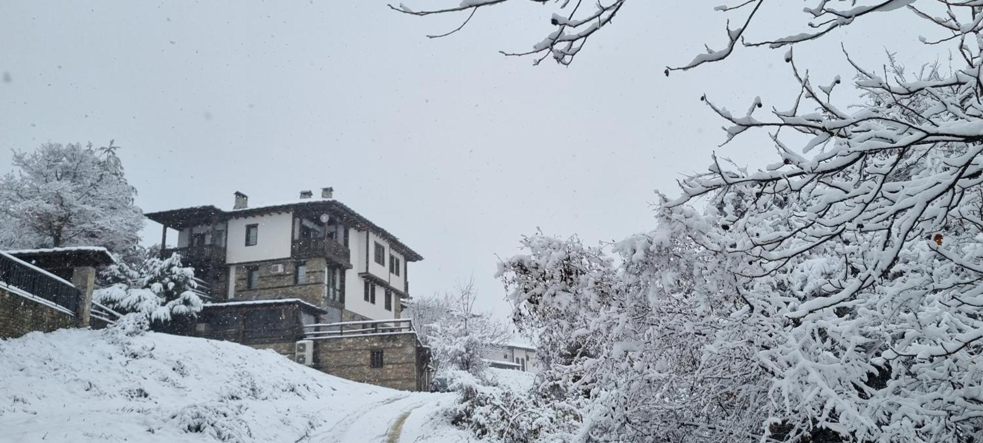 Панорама Хаус Лещен И Еко Къщи Дървена И Землянка Ngoại thất bức ảnh